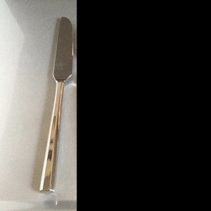 New Retroneu Acclaim Dinner Knife - (Knives)